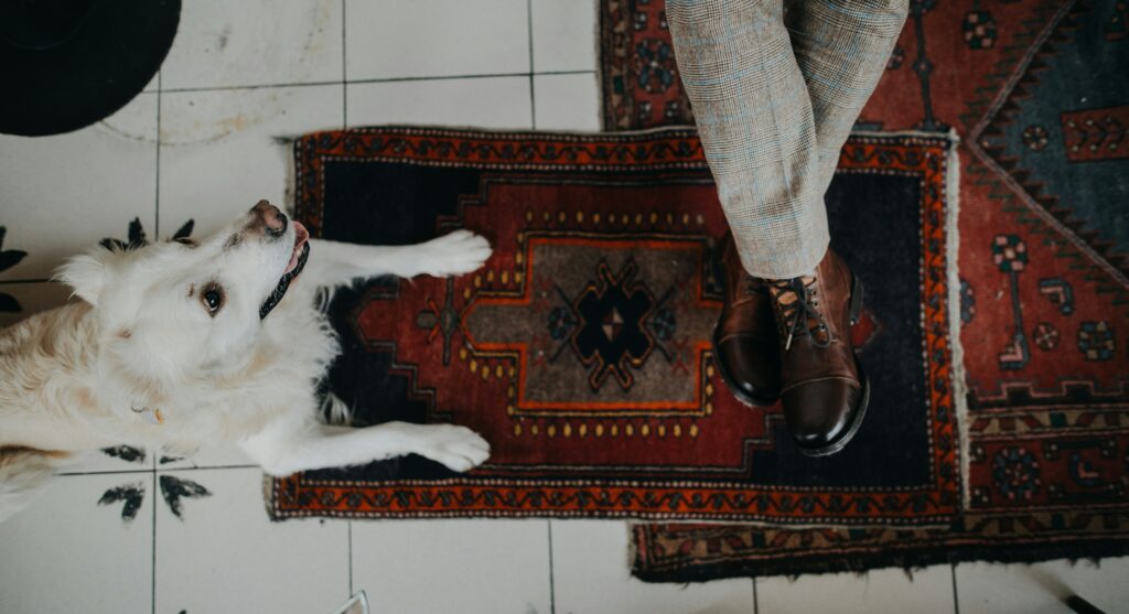 White dog lying on a Persian rug next to a person wearing brown leather shoes – pet-friendly rug in a tiled indoor setting