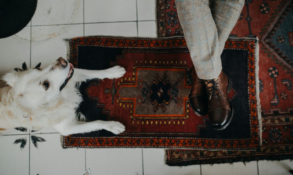 White dog lying on a Persian rug next to a person wearing brown leather shoes – pet-friendly rug in a tiled indoor setting