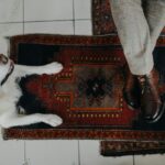 White dog lying on a Persian rug next to a person wearing brown leather shoes – pet-friendly rug in a tiled indoor setting
