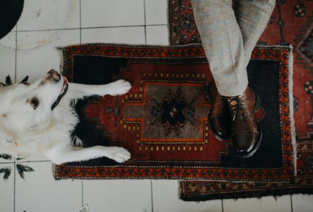 White dog lying on a Persian rug next to a person wearing brown leather shoes – pet-friendly rug in a tiled indoor setting
