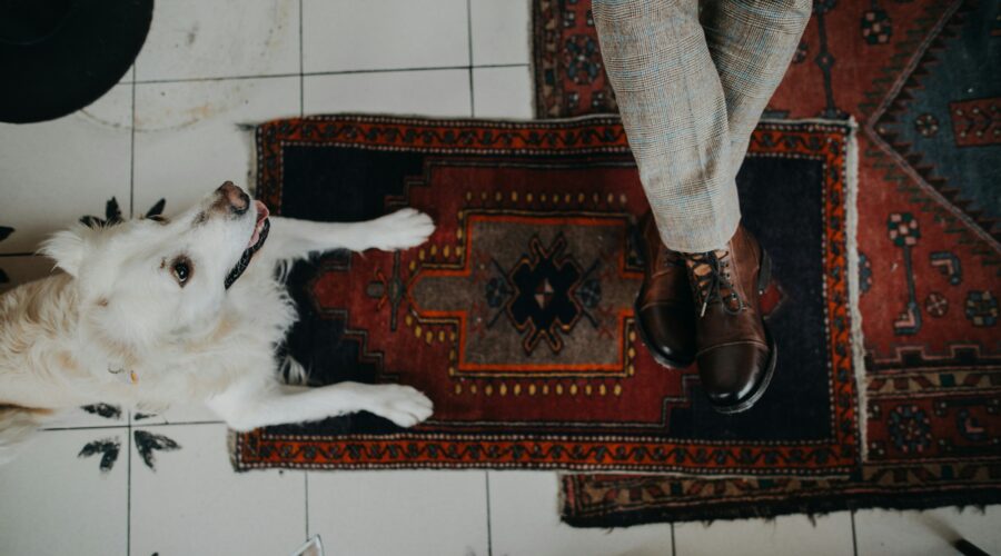 White dog lying on a Persian rug next to a person wearing brown leather shoes – pet-friendly rug in a tiled indoor setting